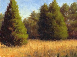 "Eno River Meadow" by Gerry O'Neill 8x6" oil on panel